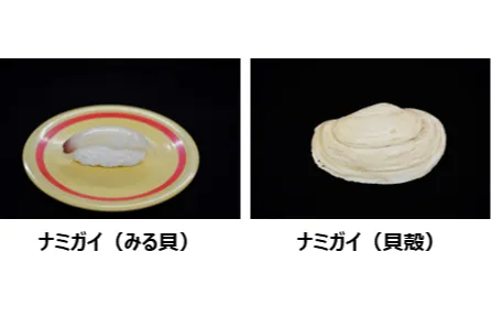 カイつまんで、ヒモときます。 ～しな水の貝展～_4