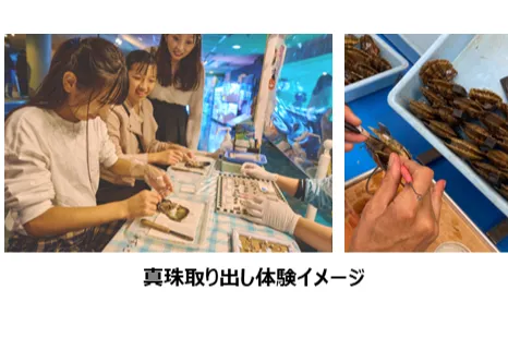 カイつまんで、ヒモときます。 ～しな水の貝展～_5