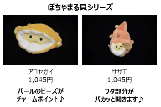 カイつまんで、ヒモときます。 ～しな水の貝展～_6