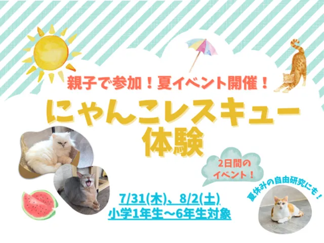 親子で参加！「にゃんこレスキュー体験」