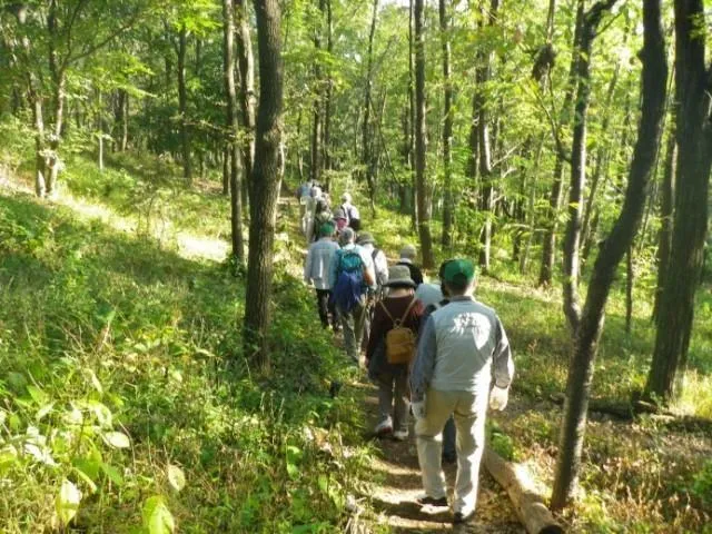 国営昭和記念公園　こもれびの丘　自然観察会（3月）