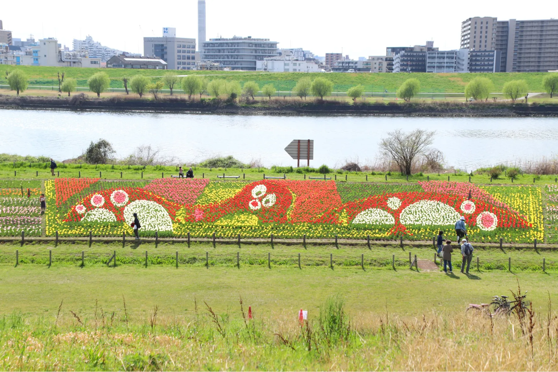 春の花まつり【足立区都市農業公園】_3