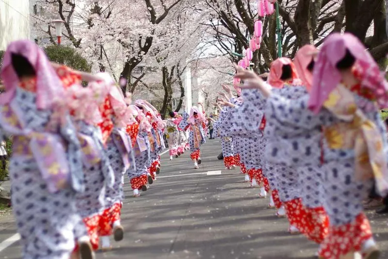 第42回ふっさ桜まつり_1