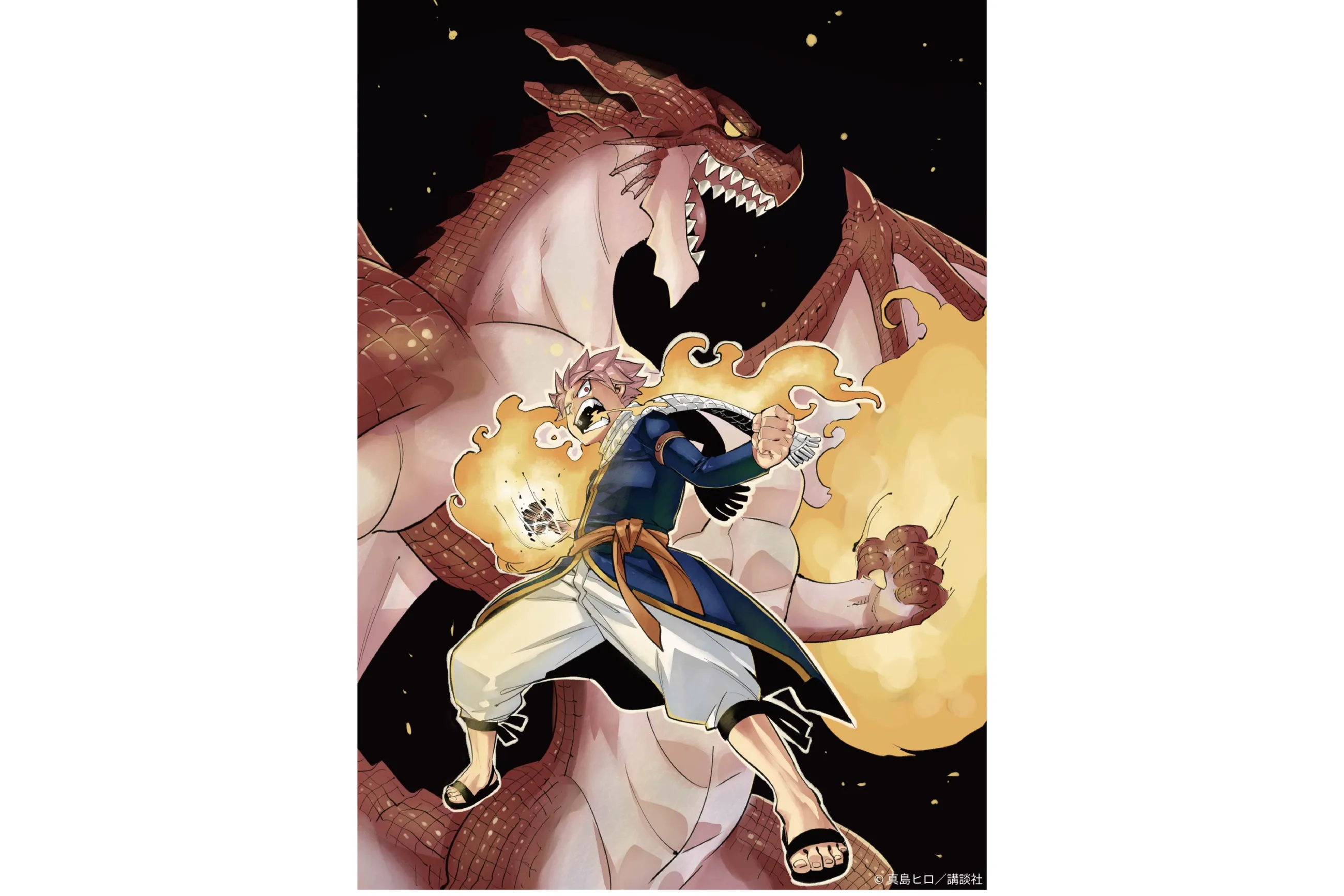 FAIRY TAIL 連載20周年記念版画展示販売会