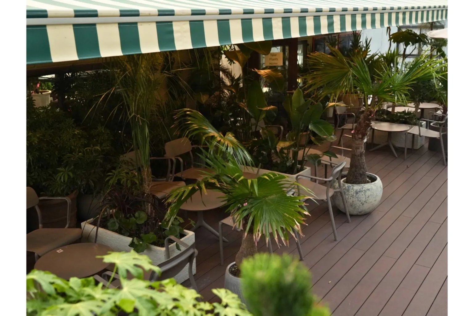 THE GARDEN ROOFTOP by good natured's_6