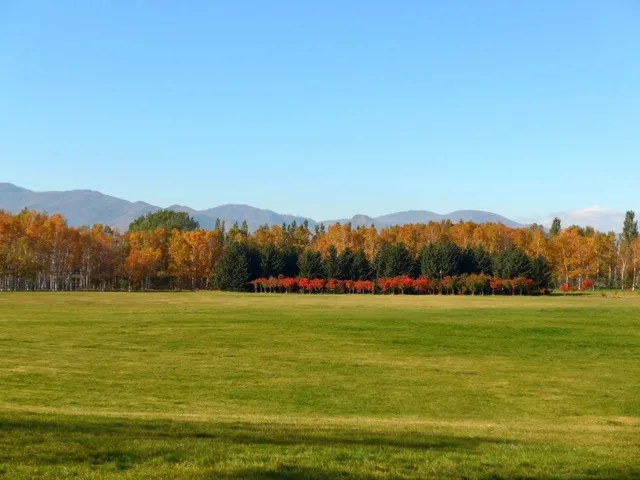 【紅葉・見ごろ】前田森林公園