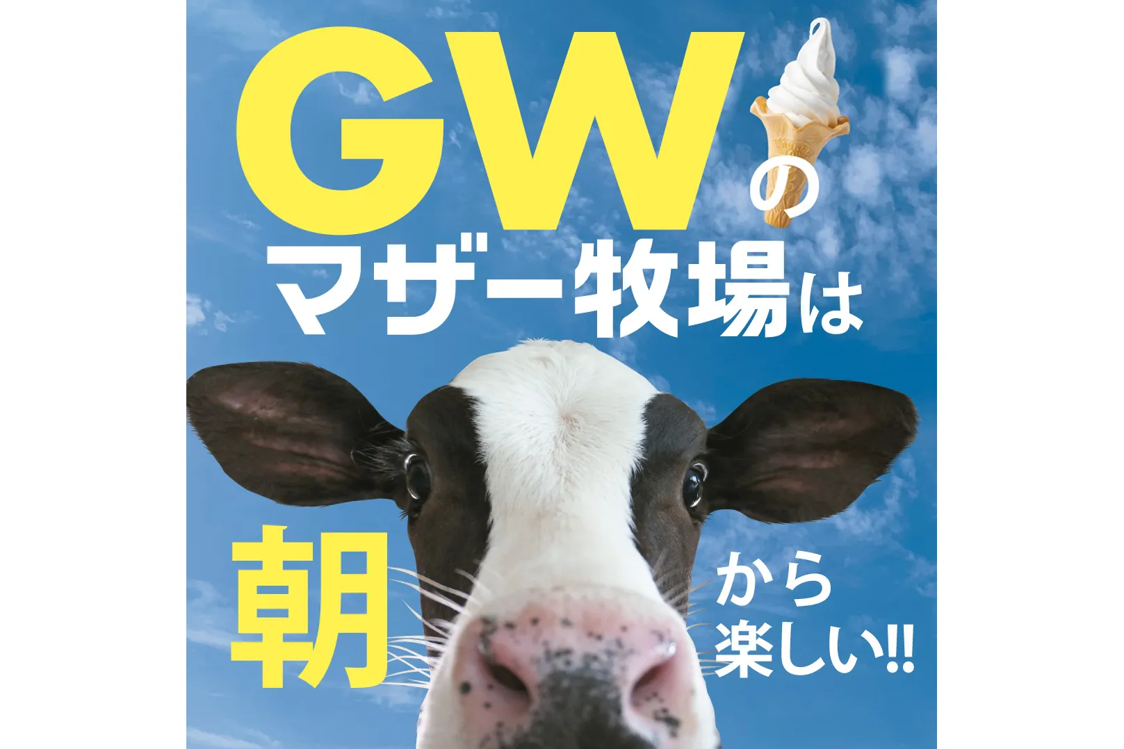 ひつじの大放牧_3