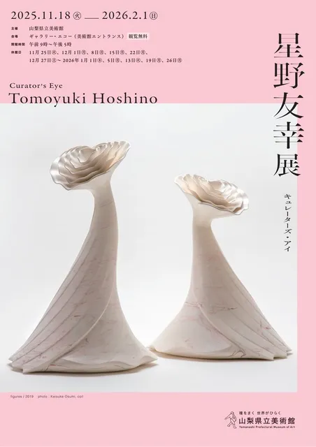 キュレーターズ・アイ「星野友幸展」