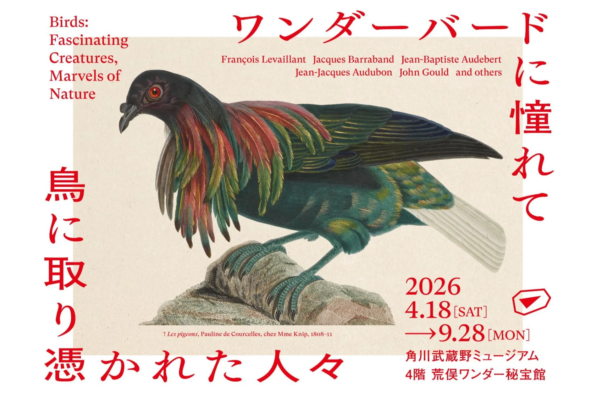 ワンダーバードに憧れて 鳥に取り憑かれた人々