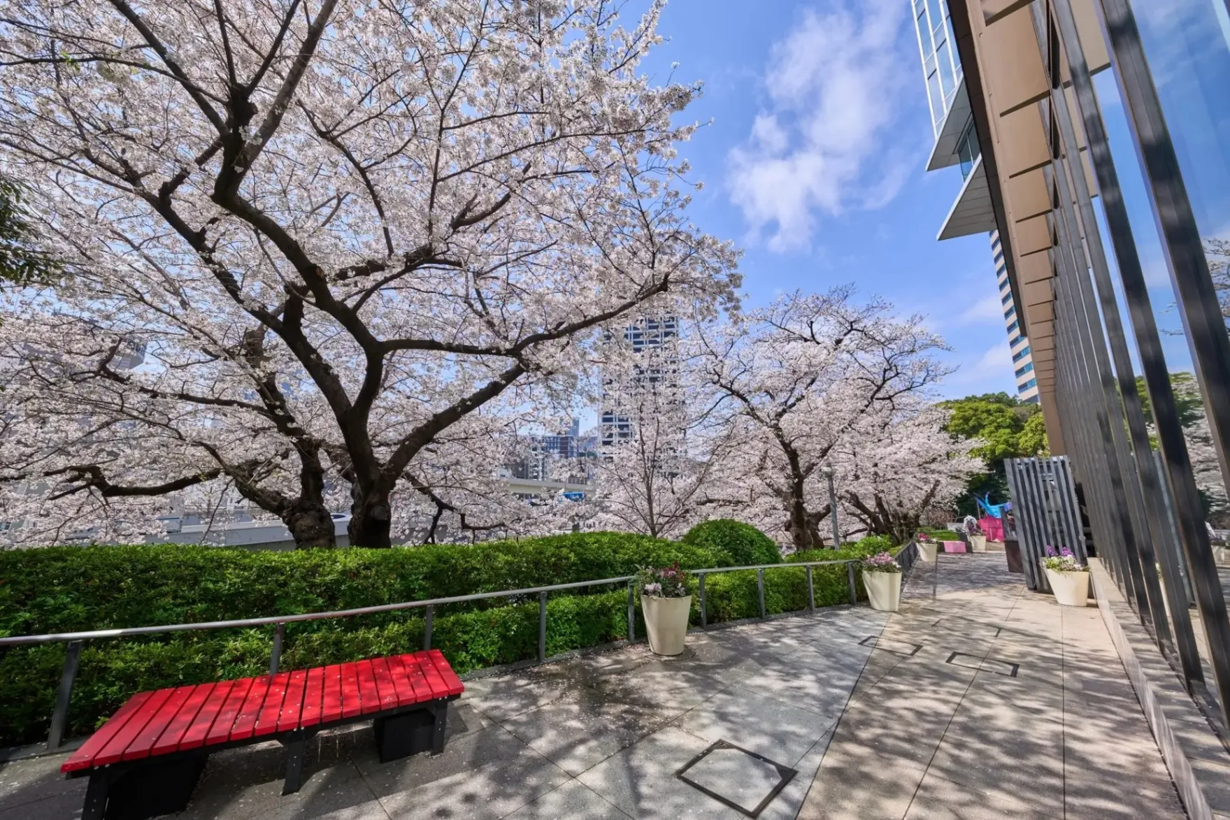 KIOI SPRING 2025 『紀尾井・花さんぽ』