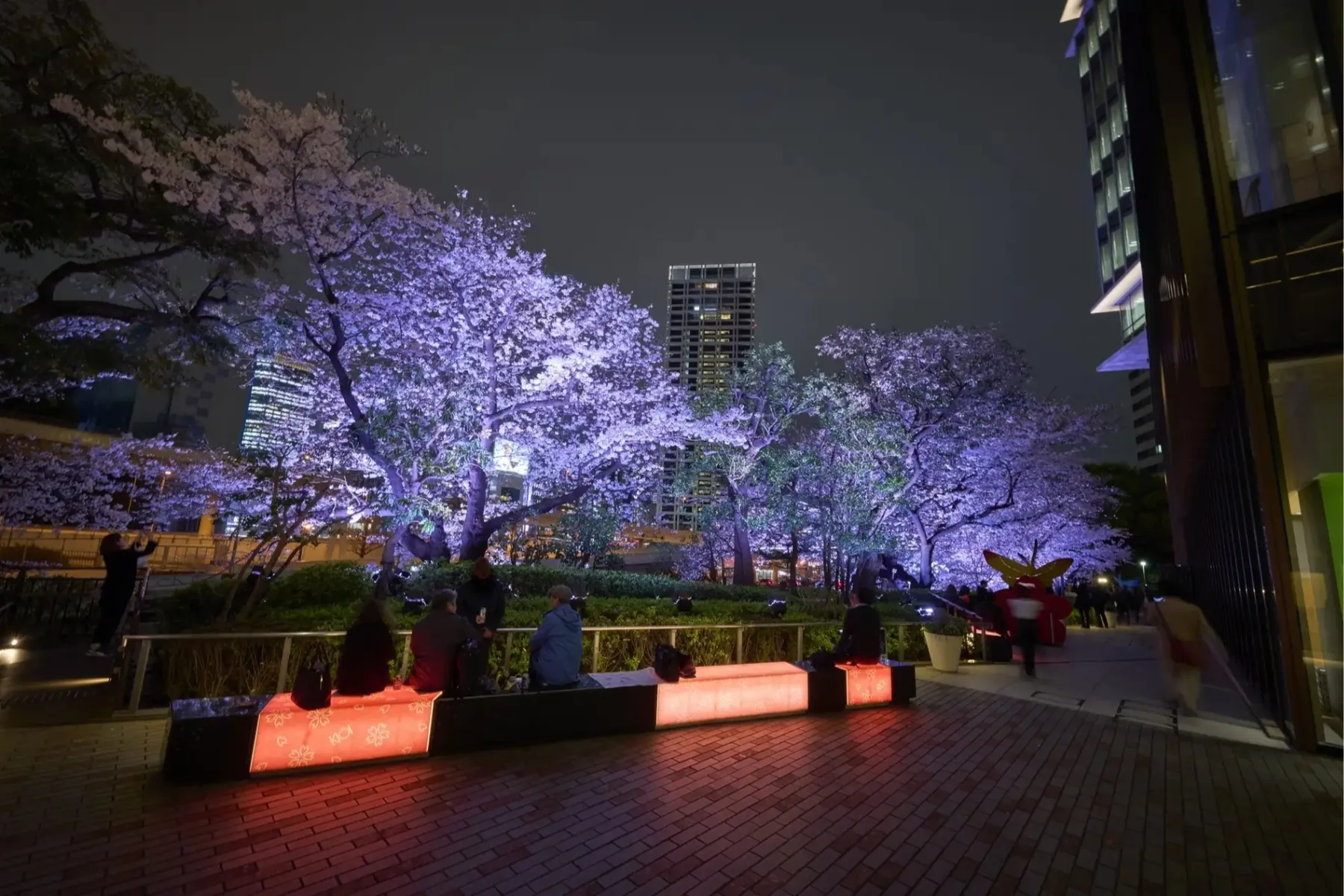 KIOI SPRING 2025 『紀尾井・花さんぽ』_4