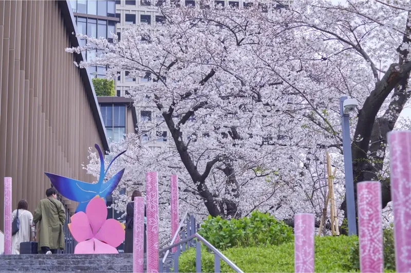 お濠沿いの桜のトンネル