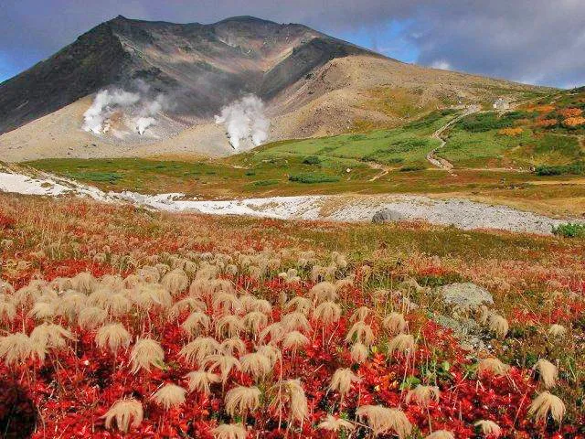 【紅葉・見ごろ】北海道大雪山系　旭岳