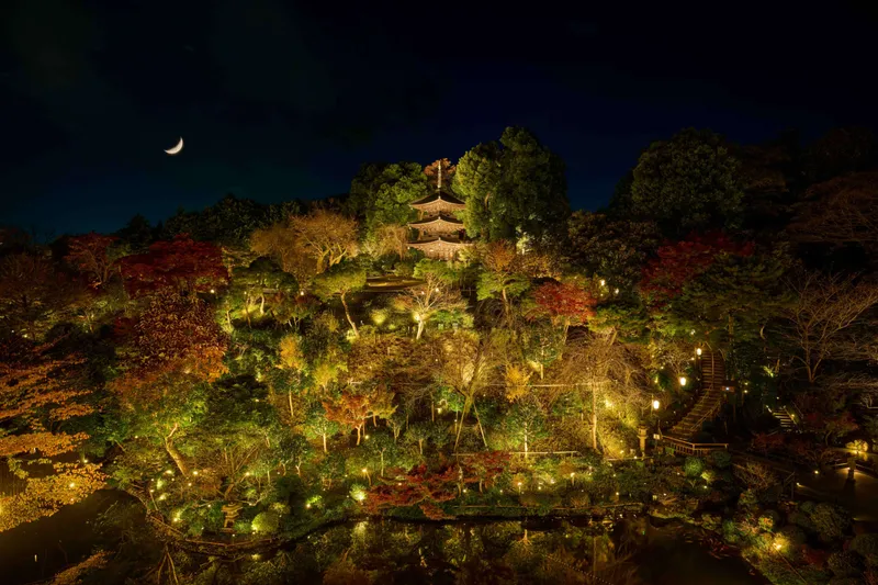 紅葉ライトアップ