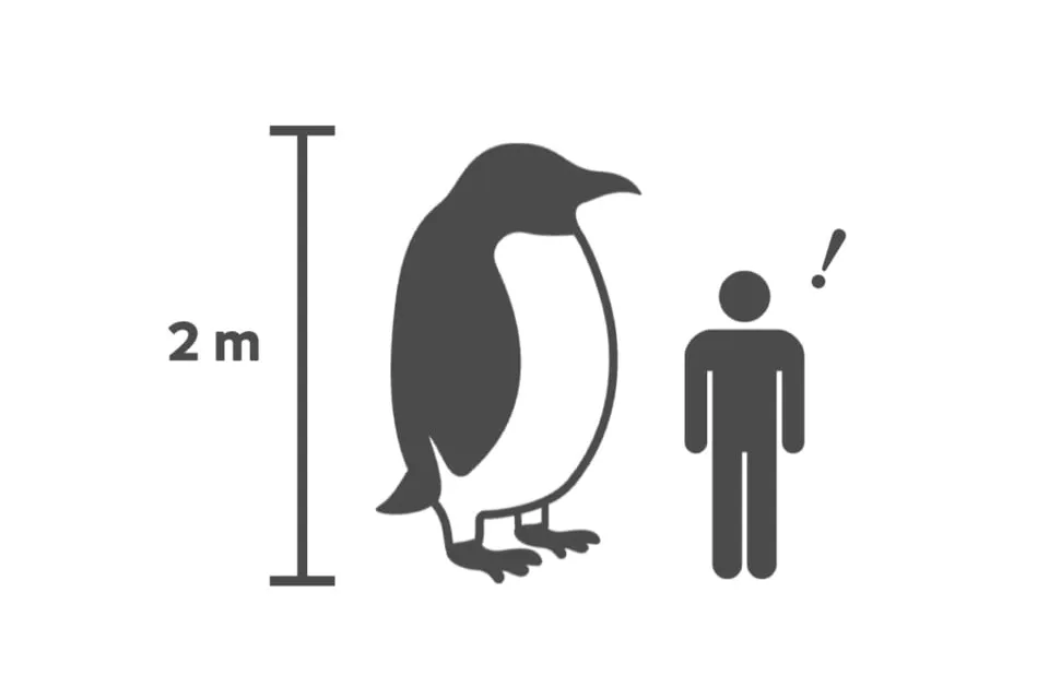 ペンギンだらけ展_5
