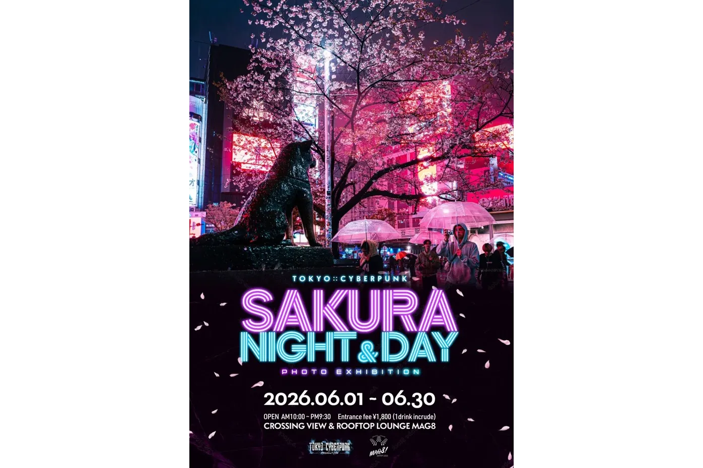 Sakura Night & Day