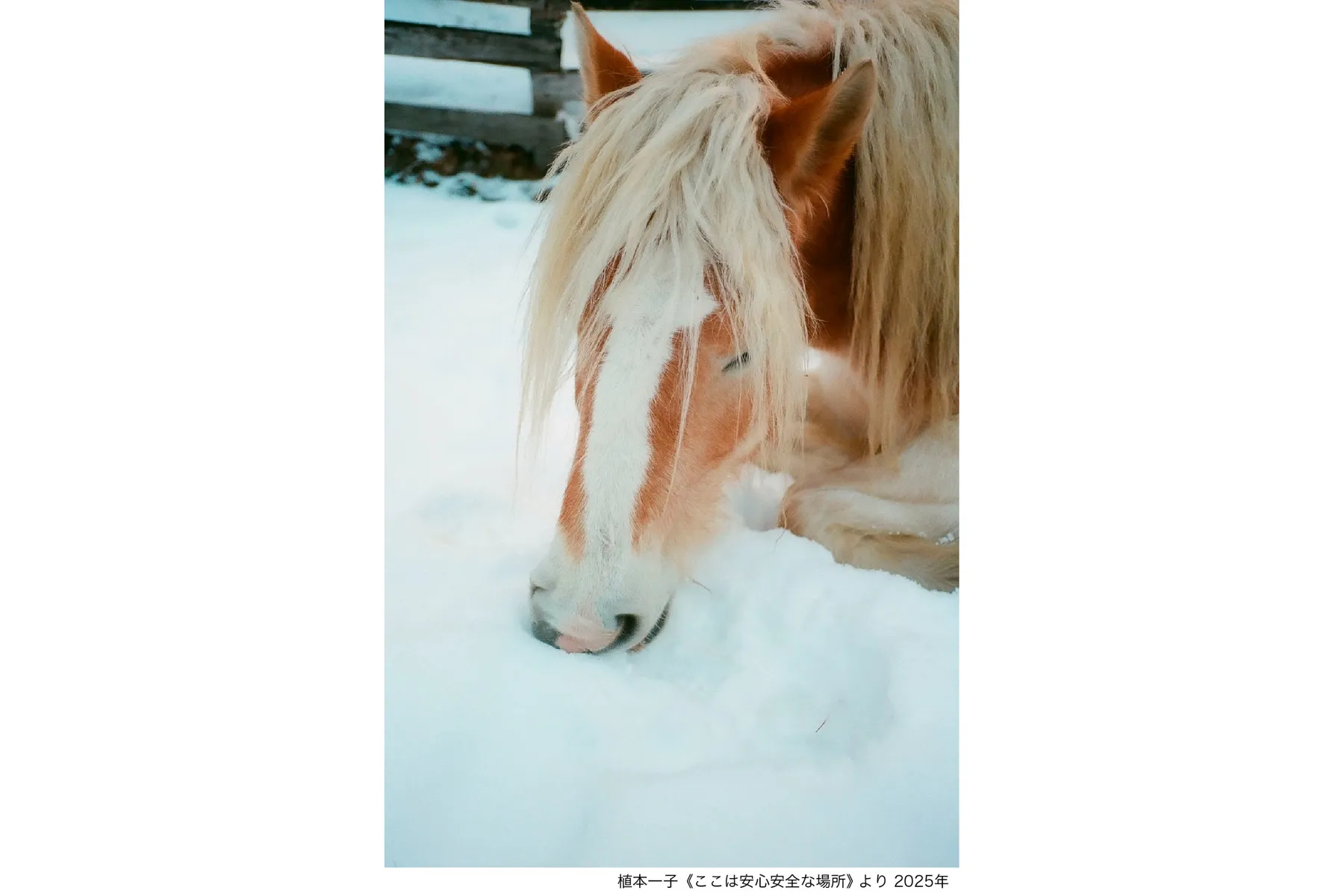 心の声をきく　わたしを生きる術（すべ）_3
