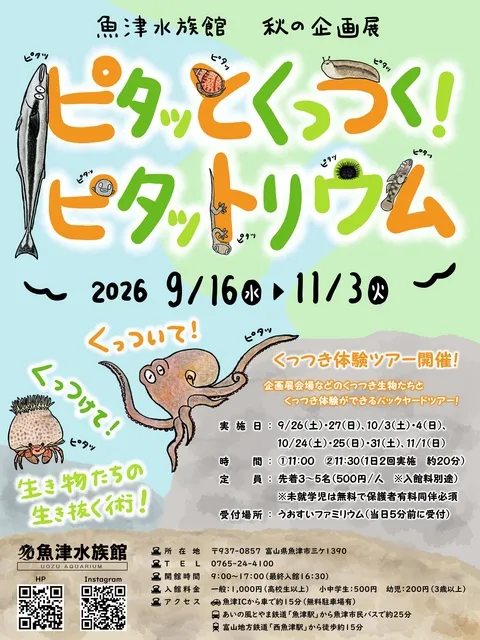 令和8年度秋の企画展「ピタッとくっつく！ピタットリウム」