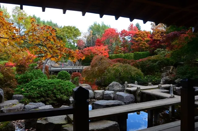 【紅葉・見ごろ】百合が原公園