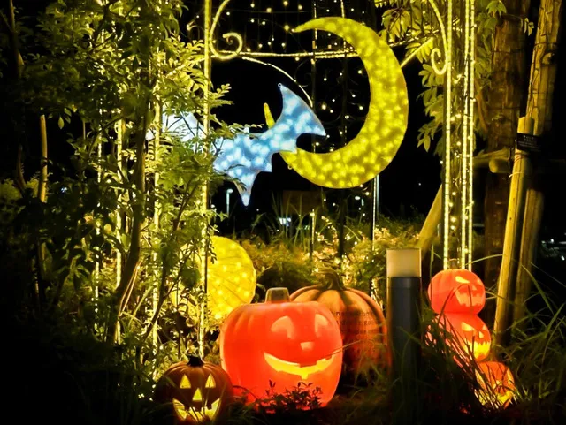 LECT ハロウィンイルミネーション