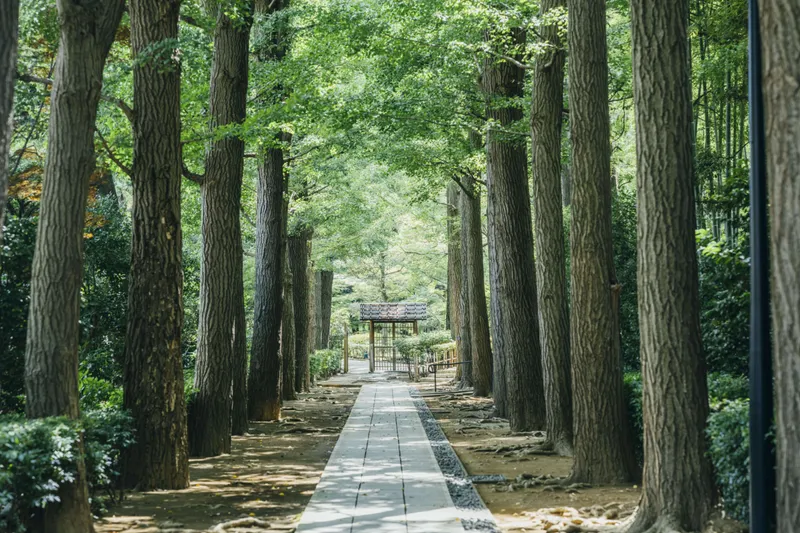 大田黒公園