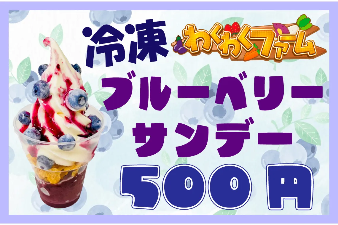 ブルーベリー狩り【むさしの村】_2