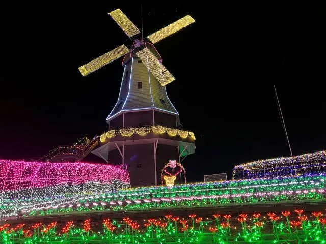 第14回　光がつくる“Art”水郷桜イルミネーション