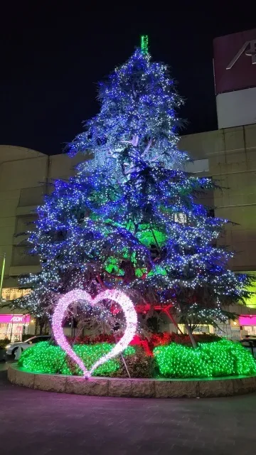 2025さかいで光輝里（ひかり）フェスティバル