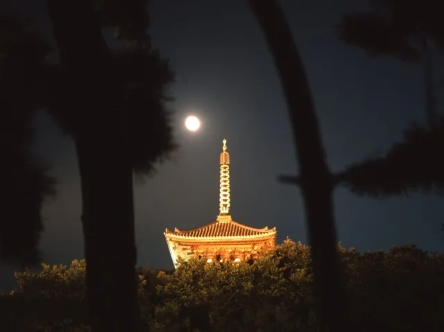 三溪園　観月会