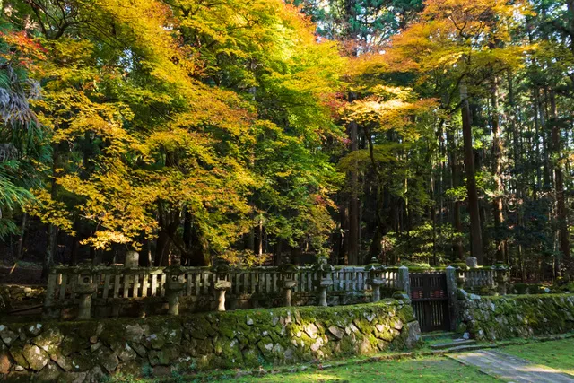 【紅葉・見ごろ】郡山城跡／毛利元就墓所（洞春寺跡）