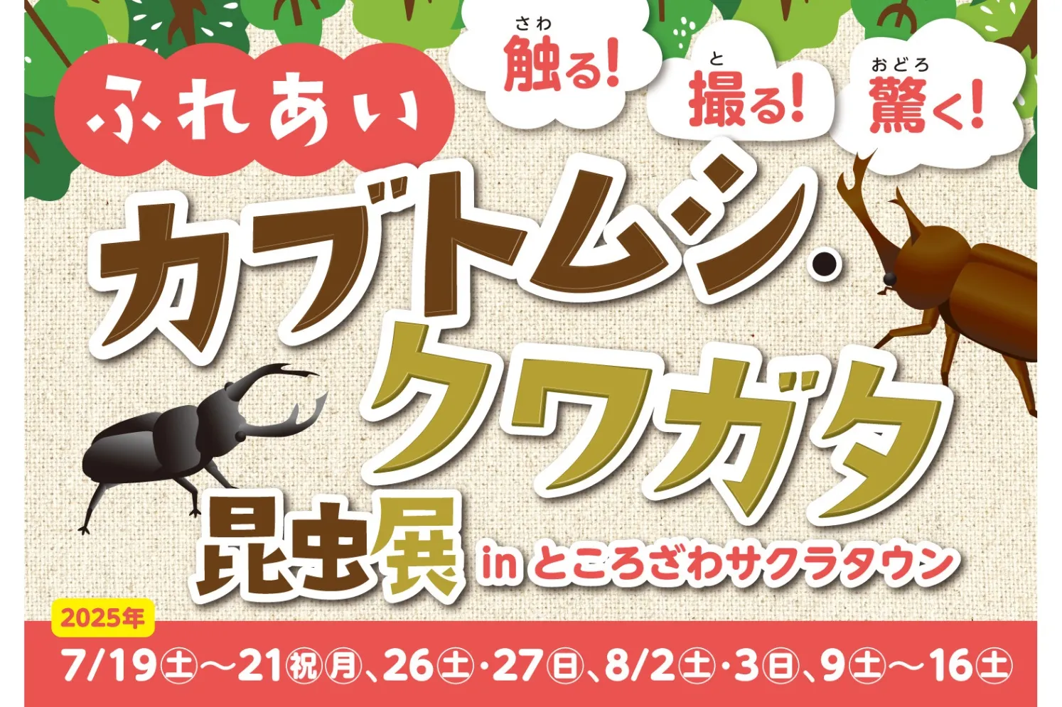 触る！撮る！驚く！ふれあいカブトムシ・クワガタ昆虫展 in ところざわサクラタウン_1