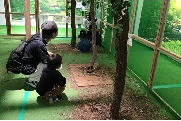 大型虫小屋で、オオクワガタなど、国産カブトムシ・クワガタ　約160匹とふれあえる　※画像はイメージです