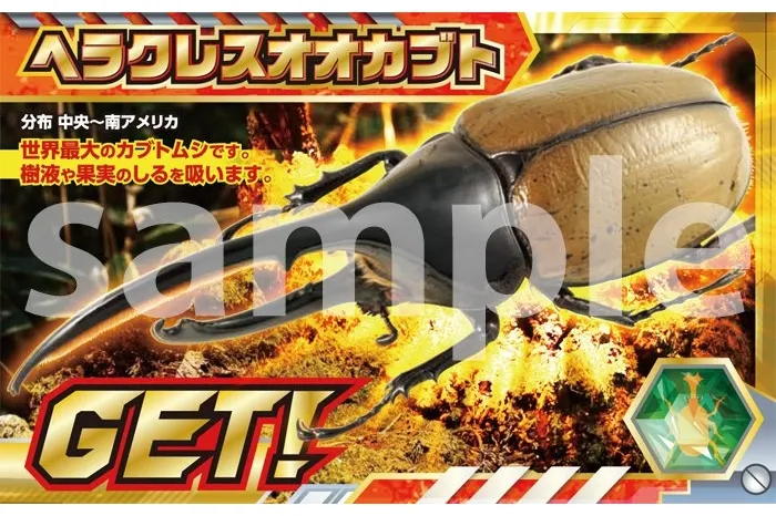 触る！撮る！驚く！ふれあいカブトムシ・クワガタ昆虫展 in ところざわサクラタウン_7