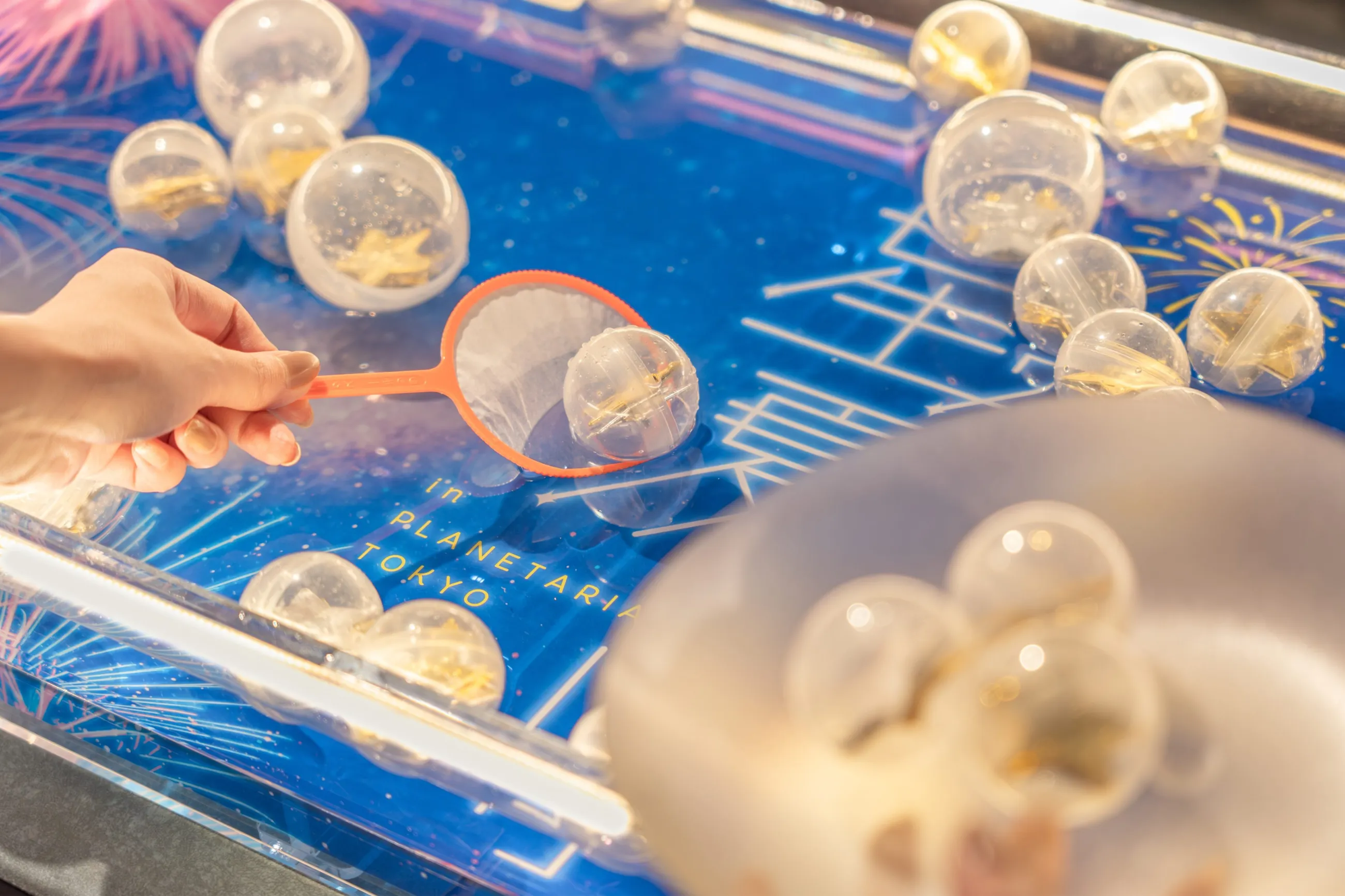 りんご飴屋台セットオーダー受付中です