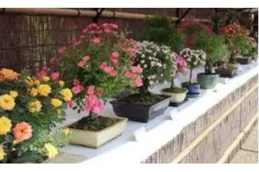 神代植物公園「春のバラフェスタ」_11