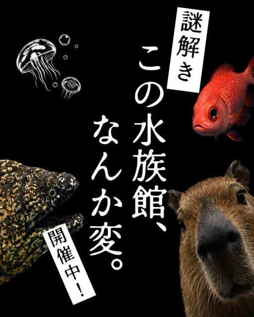 竹島水族館なぞとき　この水族館、なんか変。