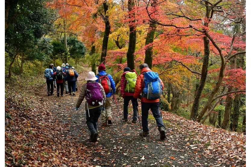弘法山公園の紅葉情報_1