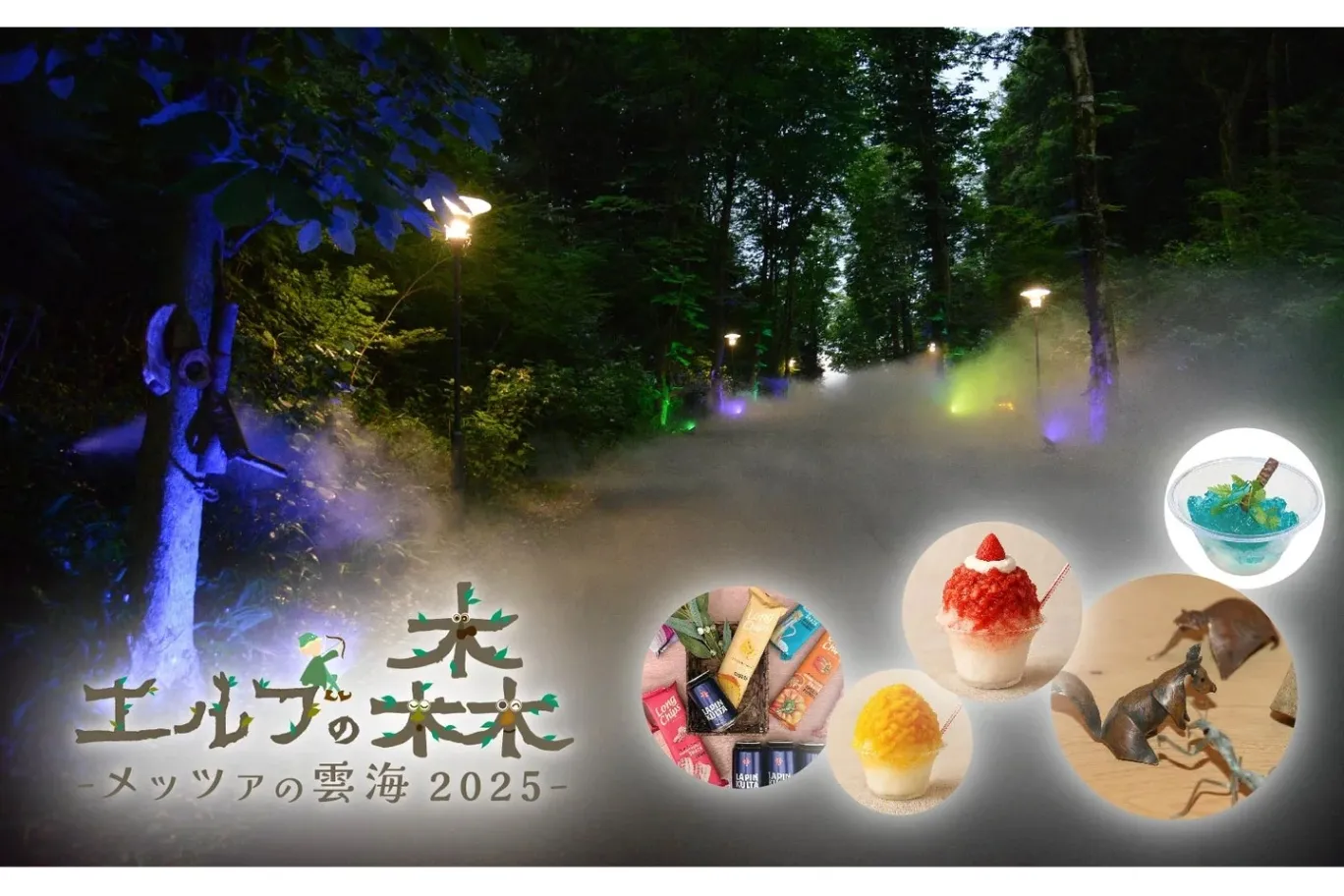 エルフの森－メッツァの雲海 2025－