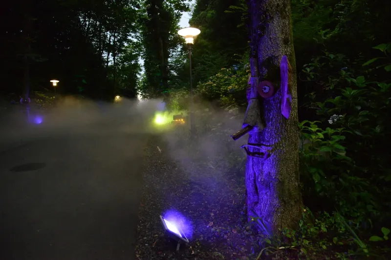 エルフの森－メッツァの雲海 2025－_2