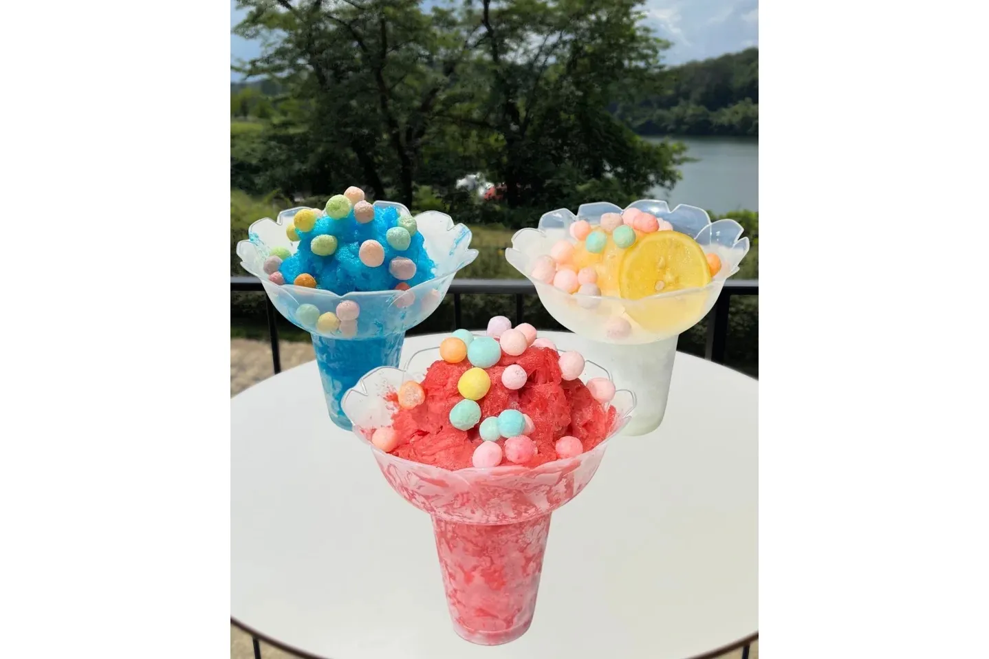 エルフの森－メッツァの雲海 2025－_20