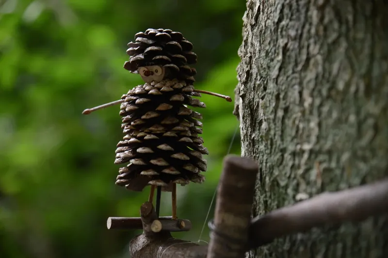 エルフの森－メッツァの雲海 2025－_3