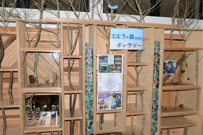 エルフの森－メッツァの雲海 2025－_6