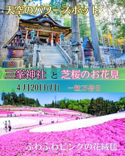 横浜発＆女性参加限定バスツアー！春の開運旅〈三峯神社＆芝桜の丘〉