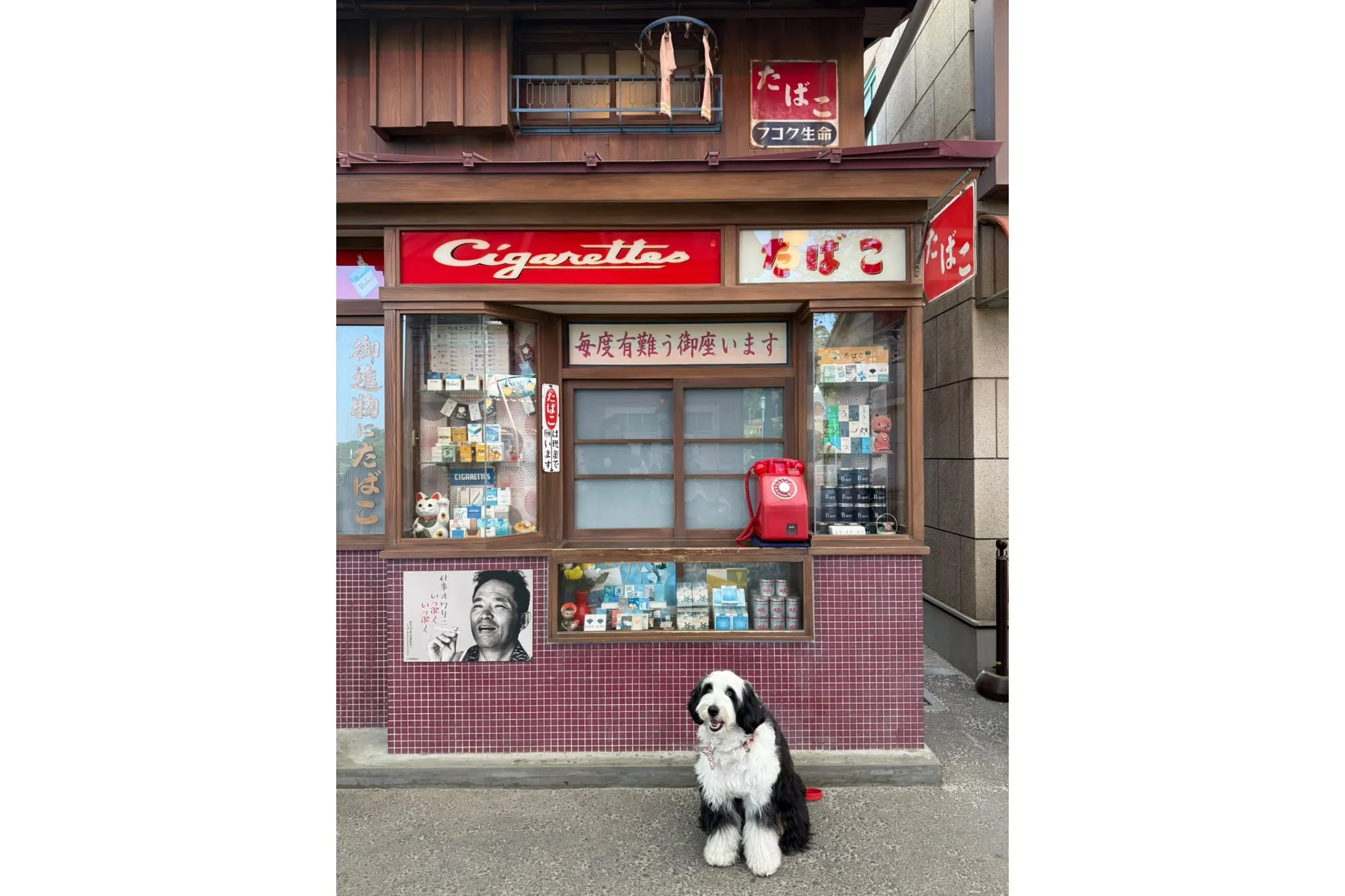 わんわん西武園ゆうえんち_7