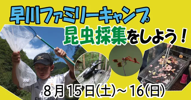 早川ファミリーキャンプ 昆虫採集をしよう！