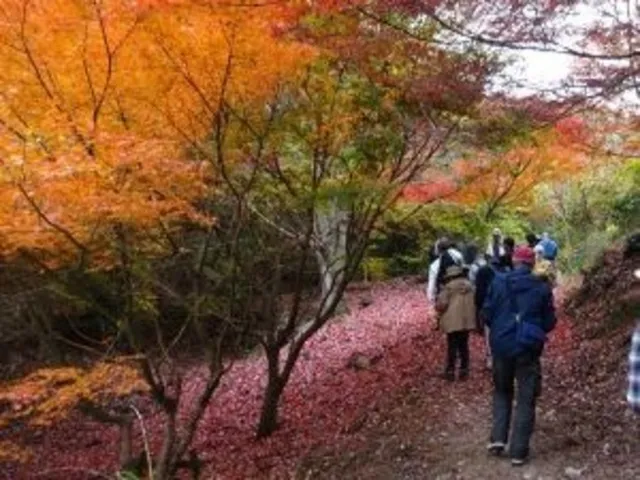 11月の植物観察会