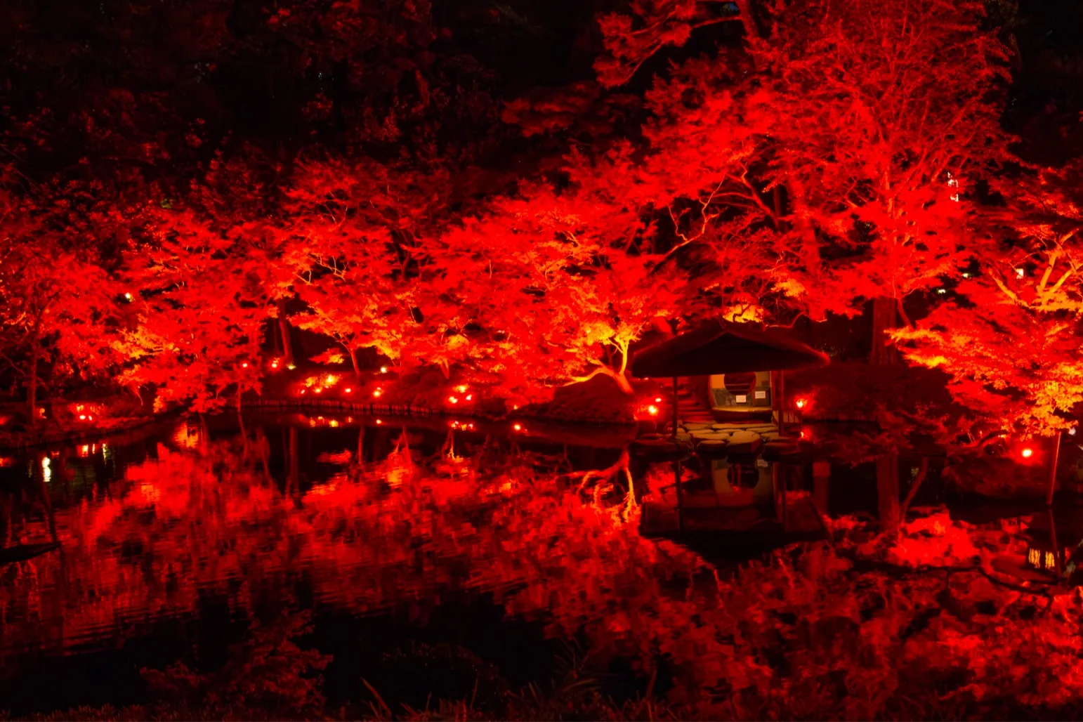 TOKYO RED GARDEN 2024
