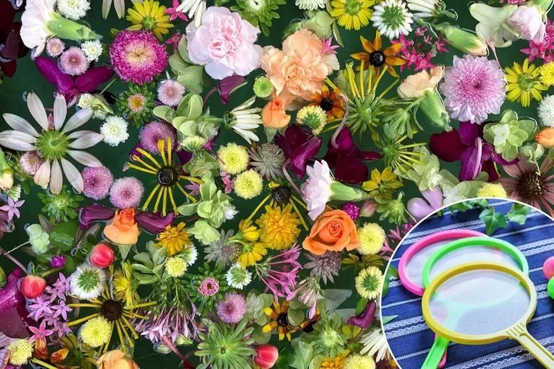 「花すくい」　※画像はイメージです