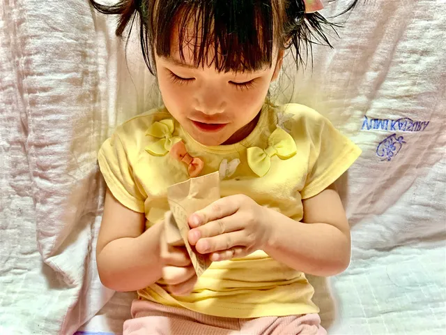 みがくであそぼう きになる木（7月）