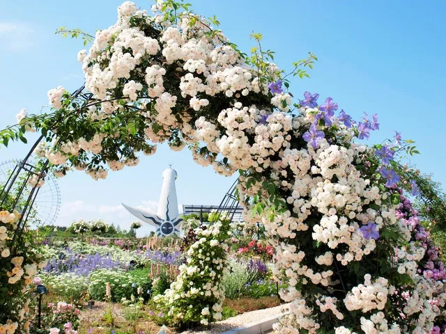 万博記念公園 春のローズフェスタ